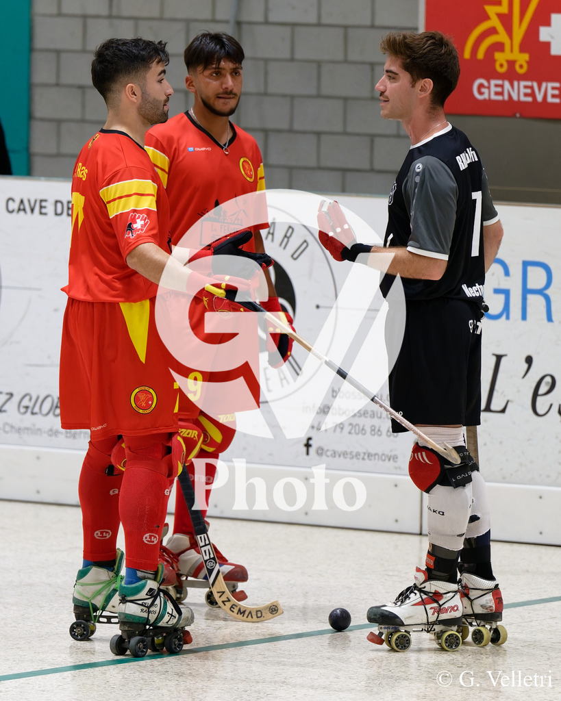 DSC_8515 | Velletri Photo