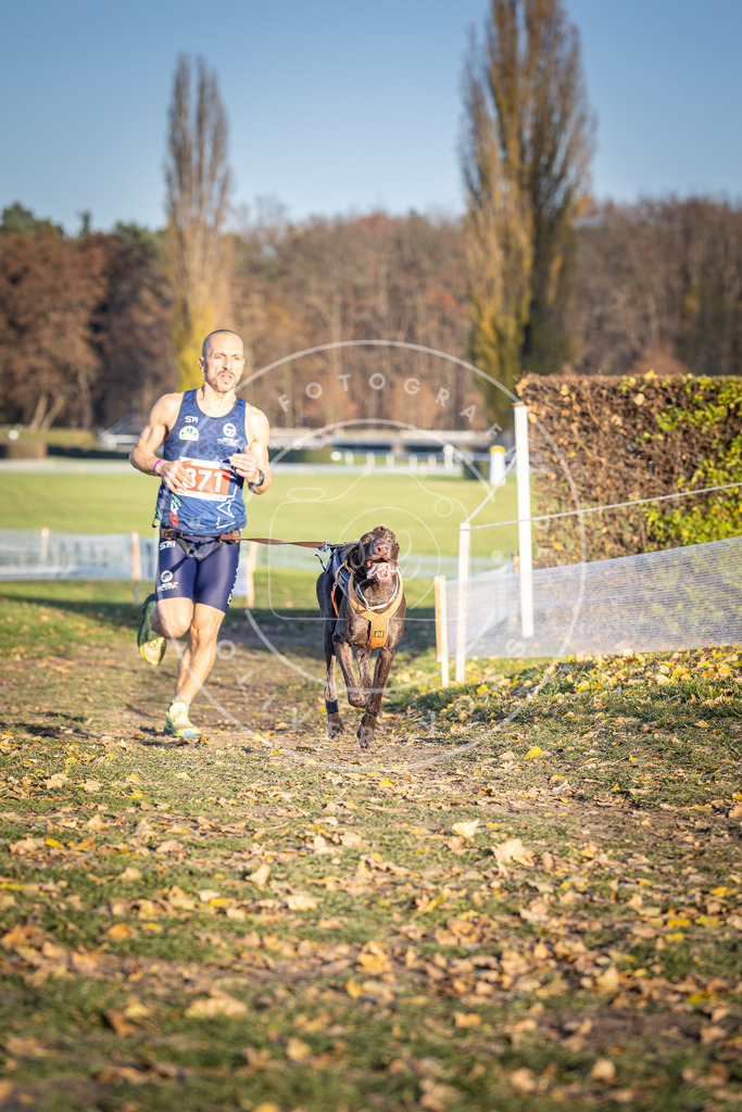 CaniXpix_DV3A4179 | Hundefotografie, Tierfotograf, Pfotenfotografie, Fotoshooting Hund, Hunde Portrait, Hundesport, Hundeportraits, Heideshooting, Hunde, Sportfotograf, Hundefotograf, Turnierhundsport, THS,  - Realisiert mit Pictrs.com
