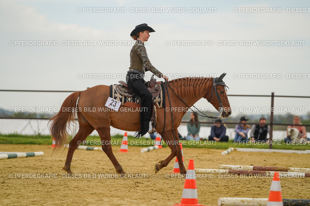 DSC02624 | Pferdegrafie