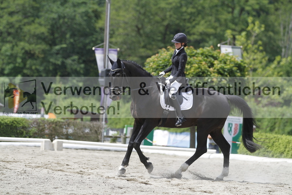 _MG_9067 | equestrian-live-com