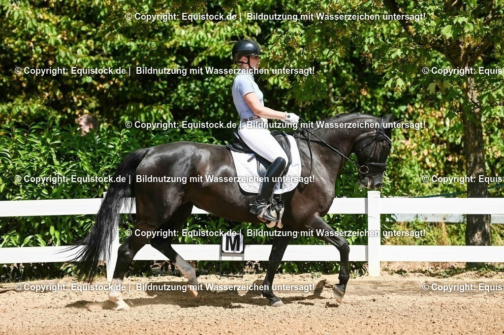 20230715_02_Dressurreiterprüfung Kl.L_0039 | equistock