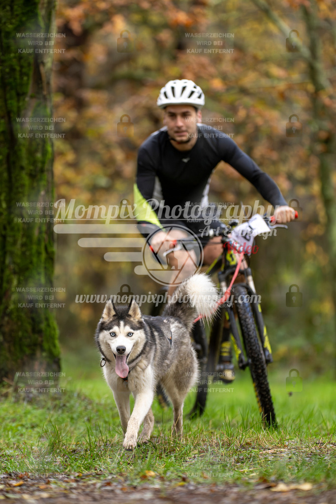 MompixPhotography_Bischwiller23_Bike-43 | PayLife