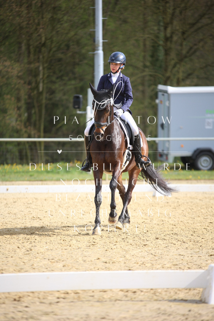 IMGT6111 | pl-fotografie