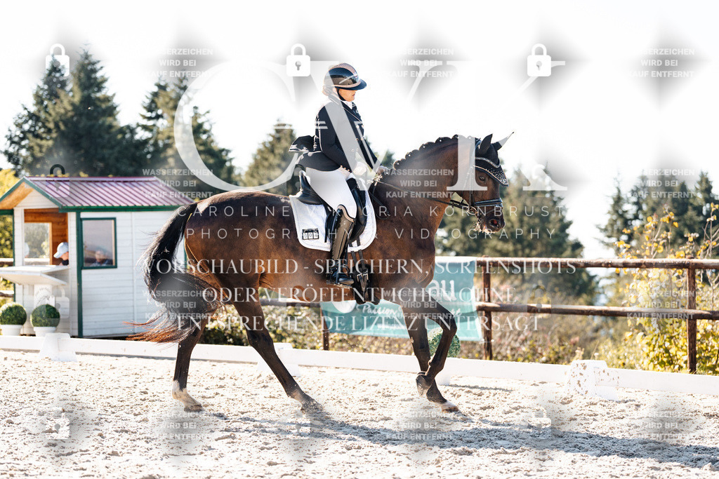 CK906174 | Turnierfotografie Pferdefotografie Trier Rheinland-Pfalz Pferdesport Reitsport Tierfotografie Sportfotografie Pferdevideo Pferdevideografie Equestrianvideography equestrianphotography  - Realisiert mit Pictrs.com