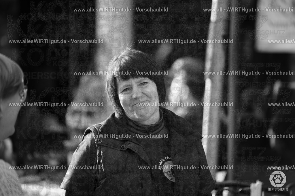 Pfötchenmarkt Nettetal-Lobberich 2026 - Nettetal-Tag - Daniel Wirth - www.allesWIRTHgut.de - @allesWIRTHgut_Tierfotografie 7R508611 | Professionelle Tierfotografie in Mönchengladbach von Daniel Wirth (allesWIRTHgut). Liebevolle & natürliche Bilder von Hunden & Katzen für unvergessliche Erinnerungen.