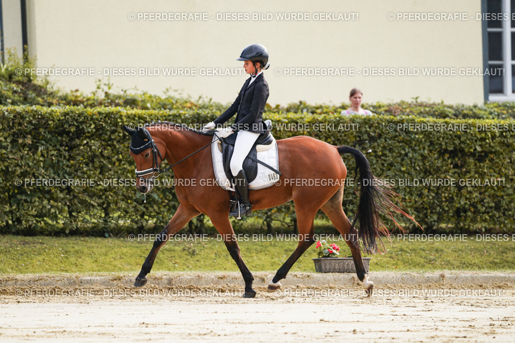 DSC05464 | Pferdegrafie