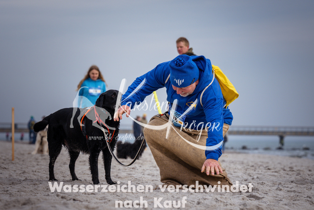 1246_ZZ95682 | kk-dogfotos
