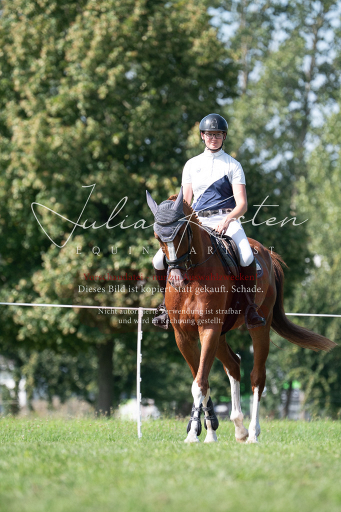 DSC_0899 | Pferde- und Turnierfotografie in Westsachsen. Pferdeportraits, Auftragszeichnungen und intuitive Kunst.