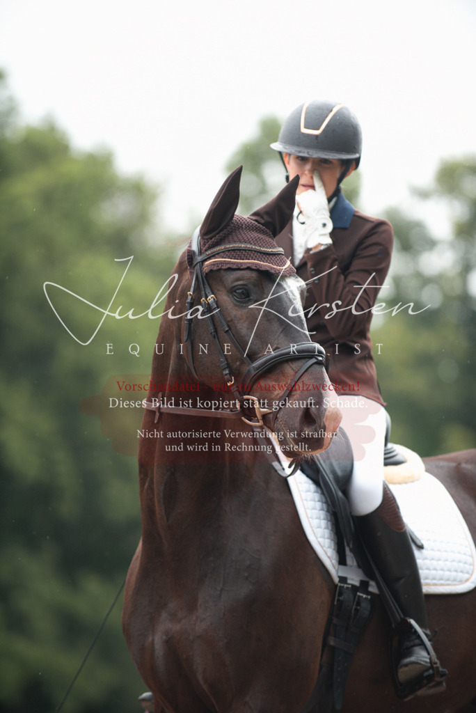 DSC_9770 | Pferde- und Turnierfotografie in Westsachsen. Pferdeportraits, Auftragszeichnungen und intuitive Kunst.