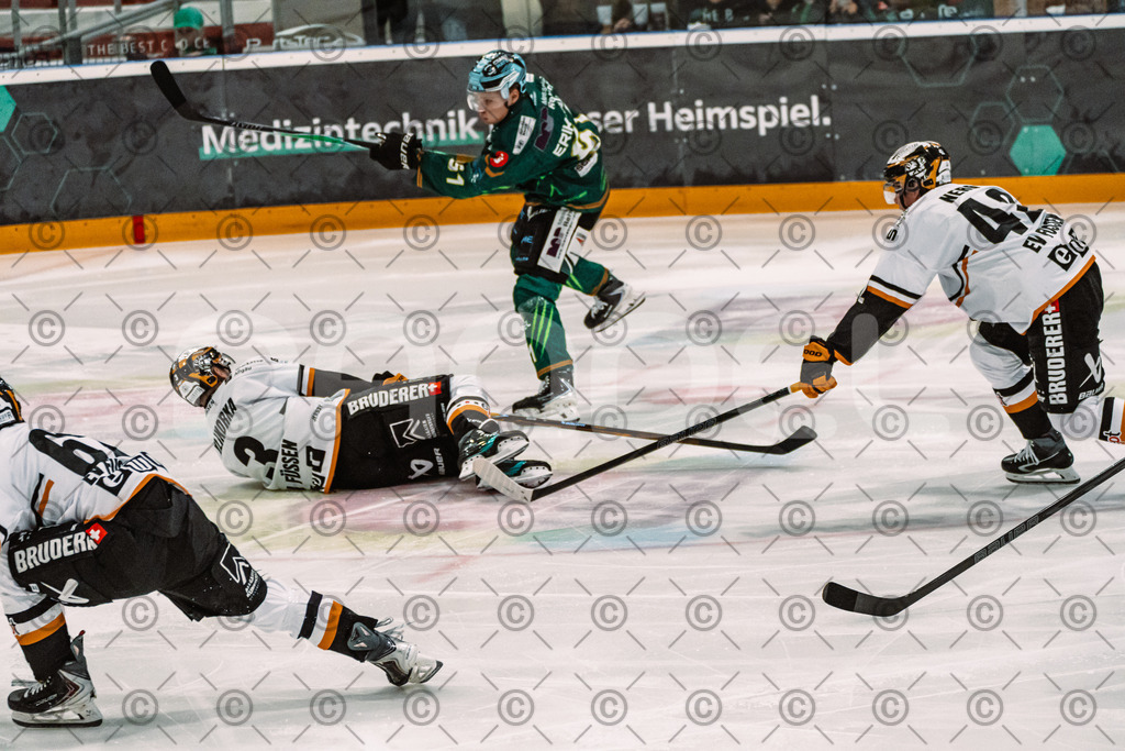 Alligators_vs_Fuessen_27_09_2026-24 | Die Fotogalerie von Daddel: professionelle Bilder von Sport, Events und Unternehmen aus Franken. Jetzt Galerien durchstöbern und Lieblingsfotos bestellen. - Realisiert mit Pictrs.com
