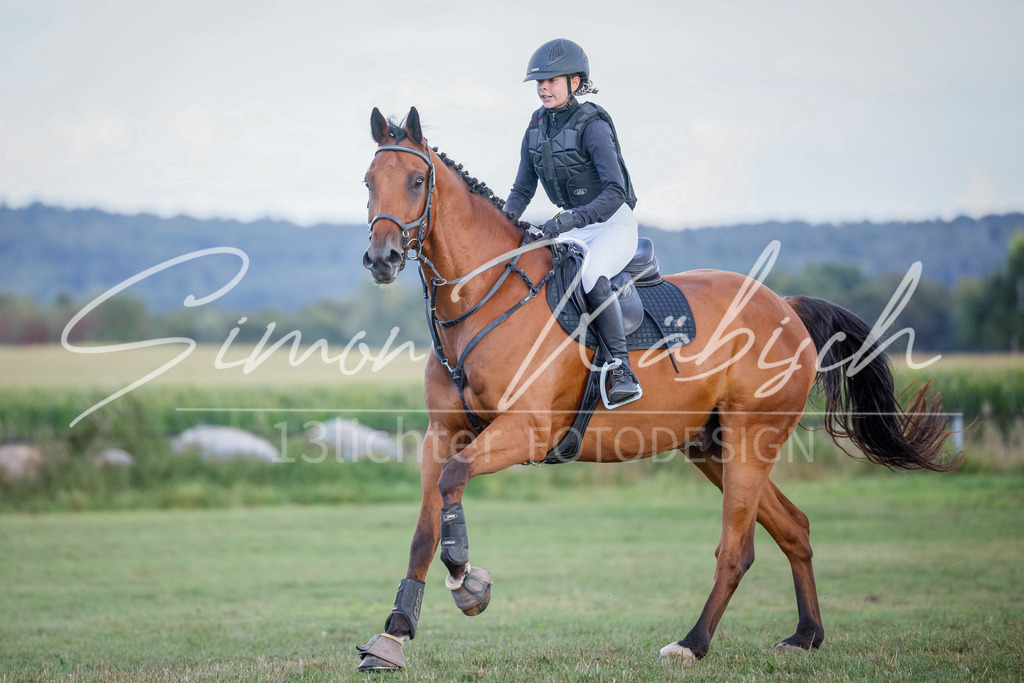 20250905-_3LI2074 | Tierfotografie Pferde, Hunde, Katzen, Haustiere.
Turnierfotografie Reitturniere, Reiten, Springreiten, Dressur in Hanau, dem Main-Kinzig-Kreis und dem Rhein-Main- Gebiet um Frankfurt