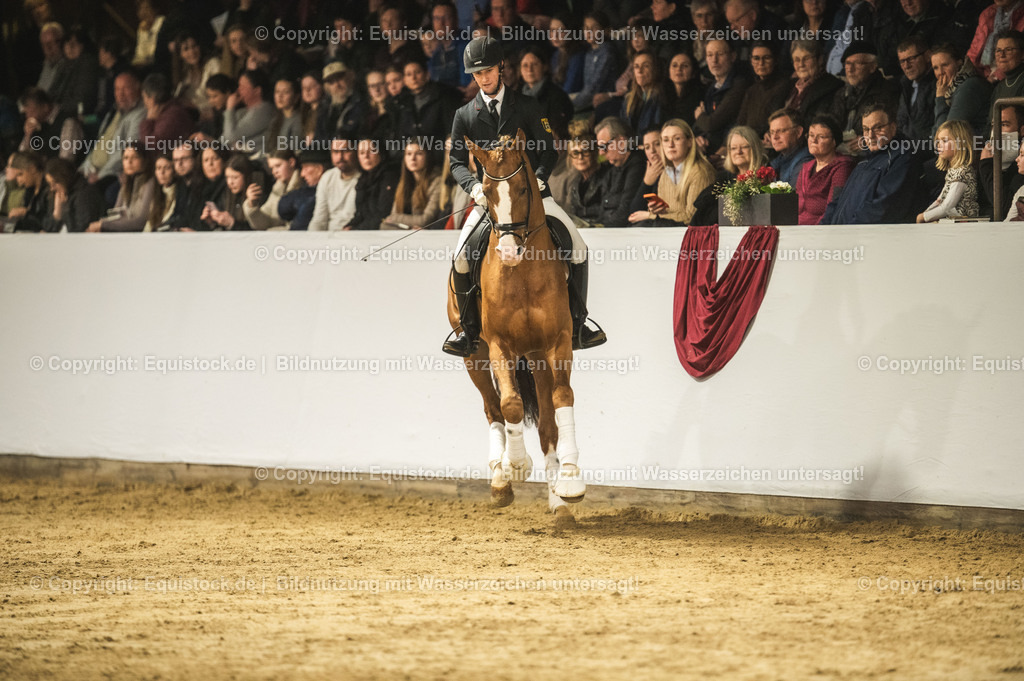20240302_Hengstvorstellung_Marbach_TOMsPiC_0536 | equistock