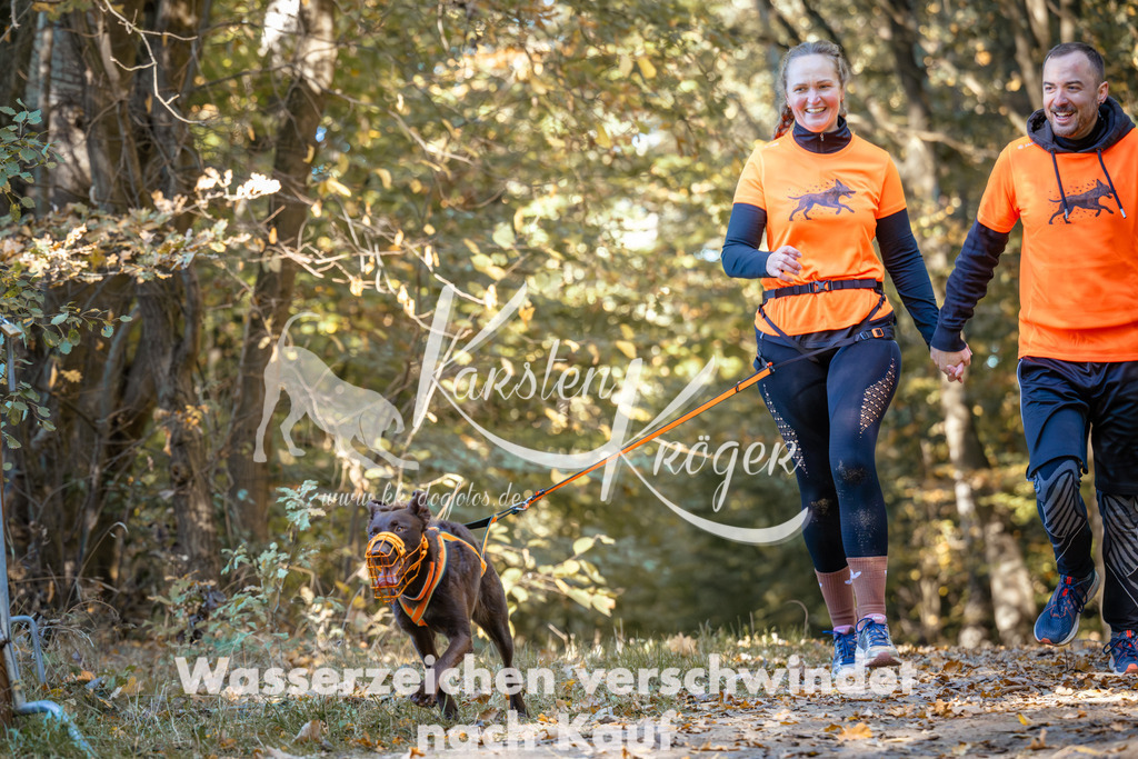 1120_ZZ92021 | kk-dogfotos