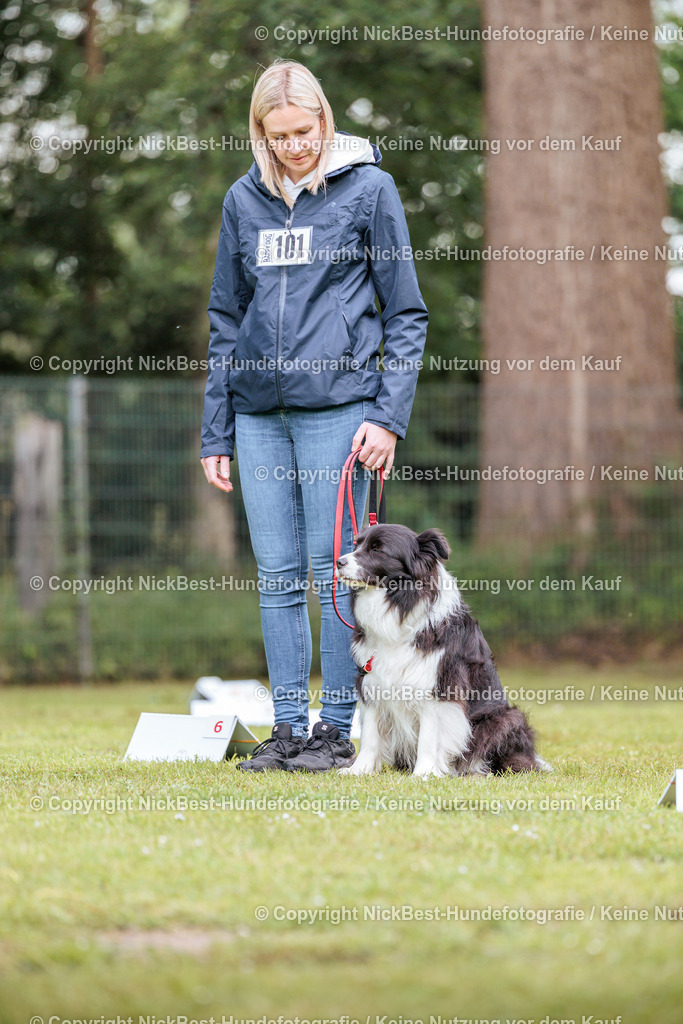 RO-Blumenthal-2026-Nickbest-Hundefotografie-5172 | Dein Hund! Dein Moment! Deine Erinnerungen! Hundefotografie in Bremen Blumenthal. Ich fange die besonderen Momente deines Vierbeiners ein – ob Indoor mit Blitzanlage oder in der freien Natur. Sicher dir dein Moment und dein Termin für eure Erinnerungen.