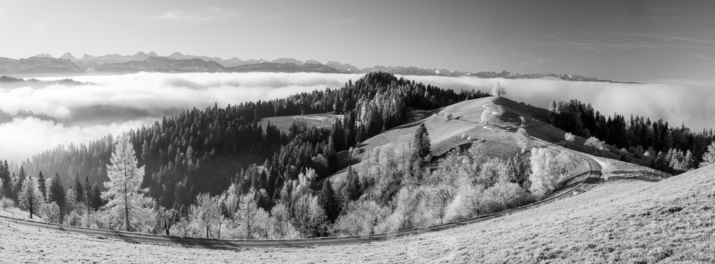 20241130-Emmental-95-Pano | Die ideale Geschenkidee für Naturliebhaber. Naturbilder von Marcel Gross Photography für ihr Zuhause in den verschiedensten Formaten und Materialien. - Realisiert mit Pictrs.com