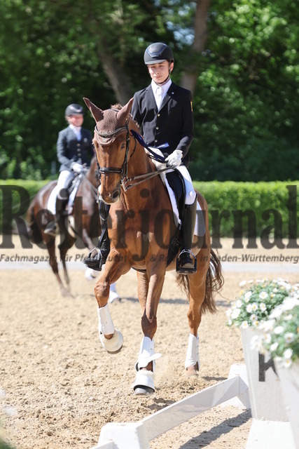 Böblingen_2025_Prfg.Nr.08_Dressurprüfung_Kl.M_Nürnberger Burgpokal_Siegerehrung_Prfg.Nr.08__ (36) | Alle Fotos der Reiterjournal Fotografin Doris Matthaes im Reiterjournal Online-Fotoshop. - Realisiert mit Pictrs.com