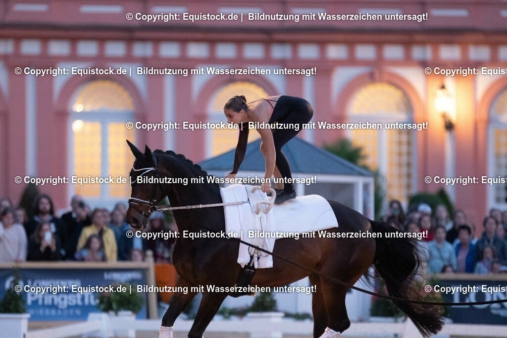 20230527_Voltigieren_NASPA_Flutlicht_0489 | equistock