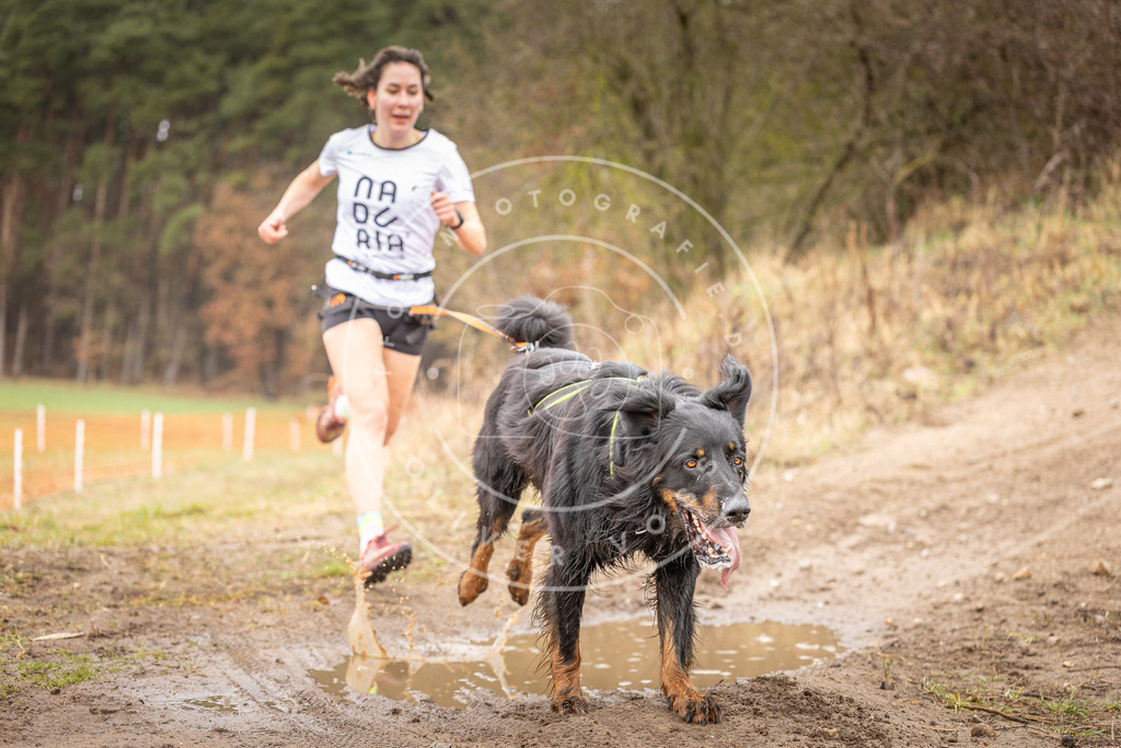 DV3A0163 | Hundefotografie, Tierfotograf, Pfotenfotografie, Fotoshooting Hund, Hunde Portrait, Hundesport, Hundeportraits, Heideshooting, Hunde, Sportfotograf, Hundefotograf, Turnierhundsport, THS,  - Realisiert mit Pictrs.com