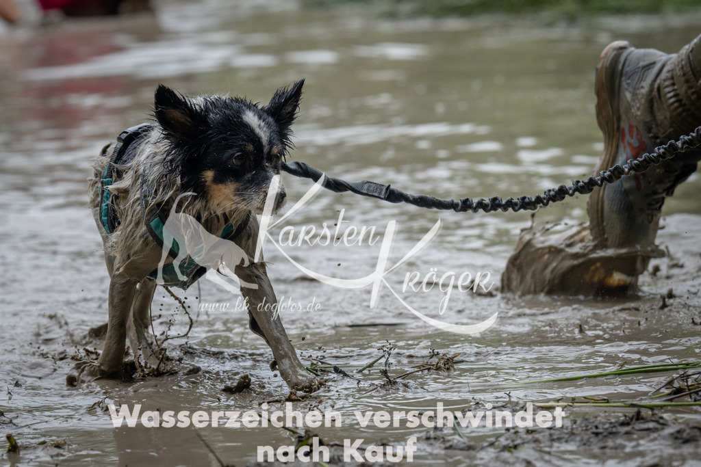 1344_ZZ92165 | kk-dogfotos