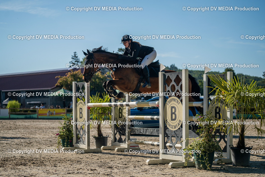 Hessische Tag 1-1866 | dv-media-shop - Realisiert mit Pictrs.com