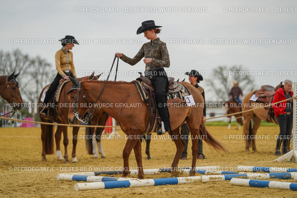 DSC02610 | Pferdegrafie