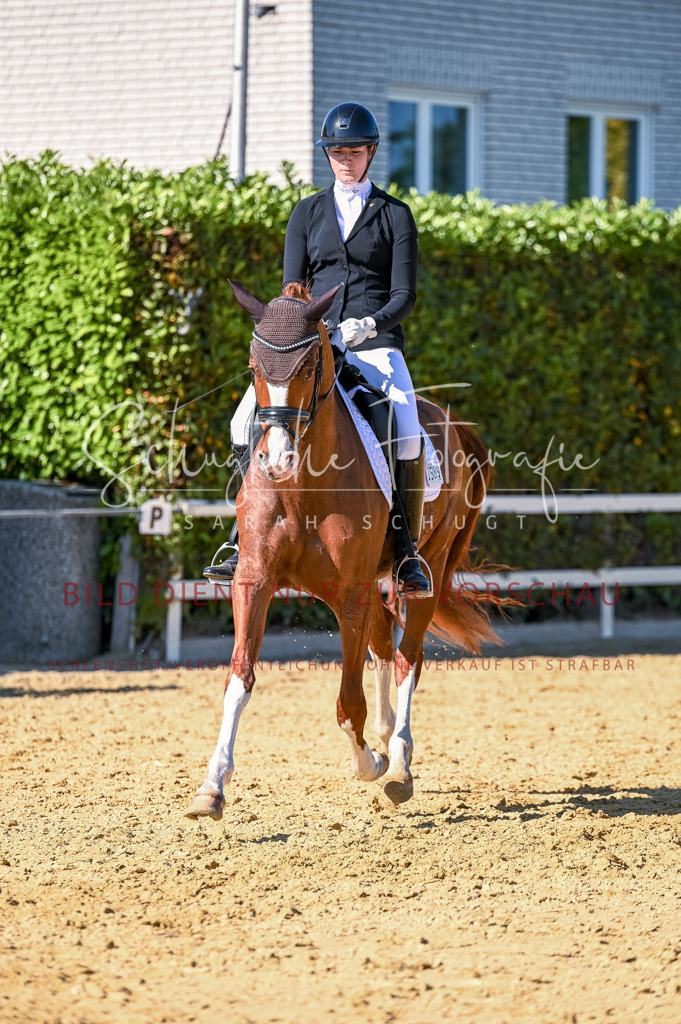 Schugtsche-Aluta25-50.Dressurpferdeprf.L-277 | Schugtsche Fotografie - Realisiert mit Pictrs.com