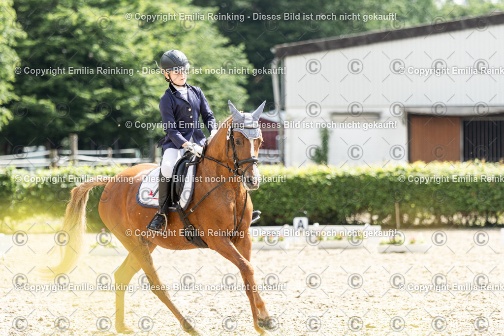 CL5A6527 | Emilia Reinking Fotografie - Realisiert mit Pictrs.com