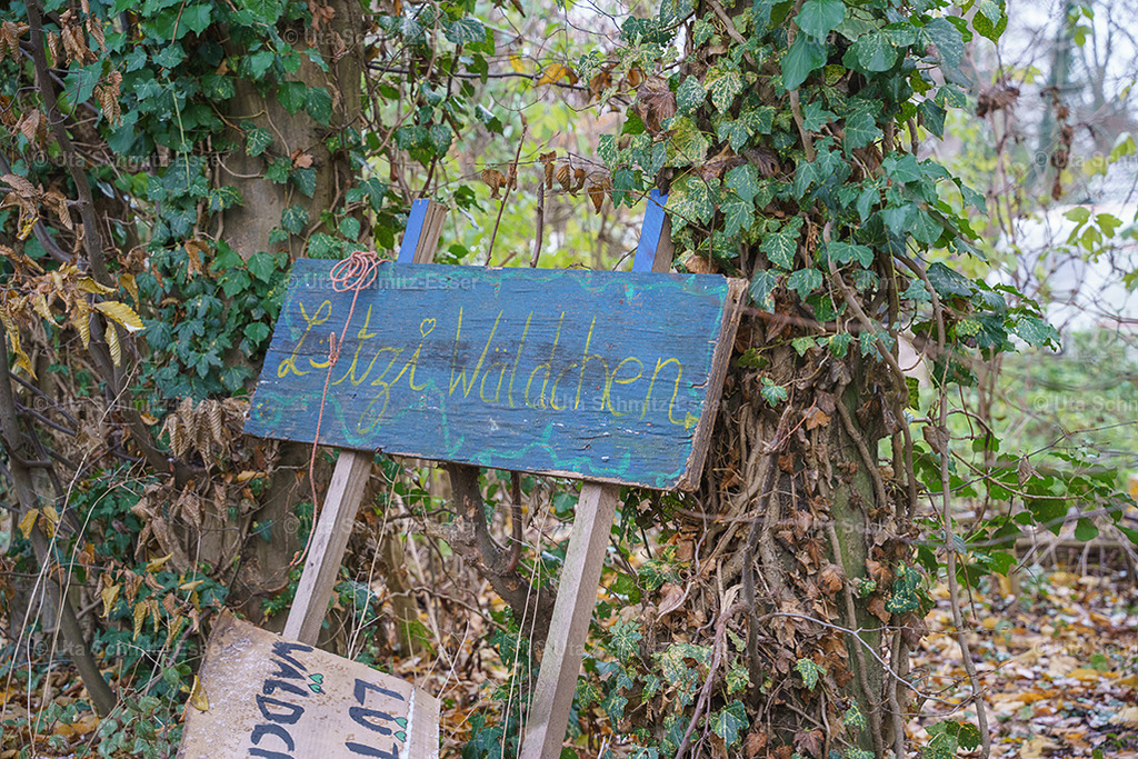 Luetzerath_56 | CEUS Design - Realisiert mit Pictrs.com