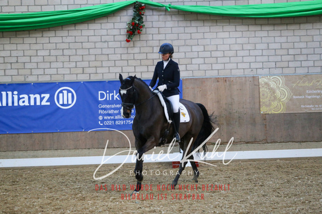 IMG_2679 | Turnierfotos kaufen im Webshop von Daniel Kuhl Photography – entdecke professionelle Reitsportfotos aus Turnieren & Events. Hochwertige Turnierbilder online bestellen & sichern. Jetzt Fotos von Reitsportturnieren kaufen!