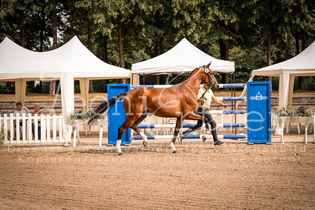 FrER00056 | Leoni Ertmer Photography - Realisiert mit Pictrs.com