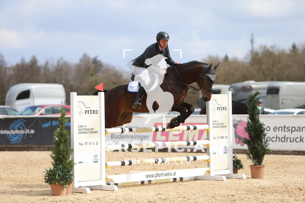 DL2Q9842 | Willkommen bei Brunnmayr - Design & Fotografie – Ihrem Spezialisten für Reitturniere und Pferdeveranstaltungen in Oberösterreich, Salzburg und Bayern! Seit über 17 Jahren sind wir leidenschaftlich dabei.