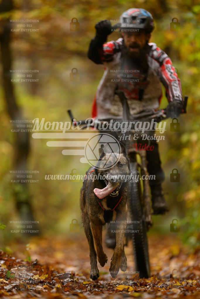 MompixPhotography_CD7S_DI_Bike-40 | mompixphotography