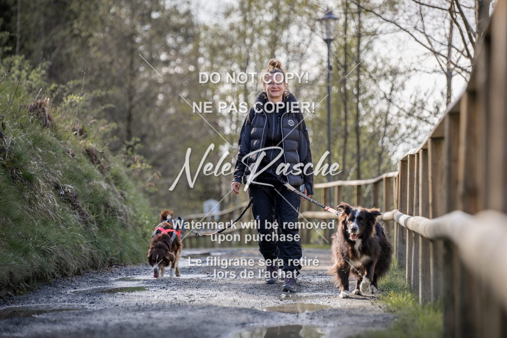 NR__0662 | nelerasche