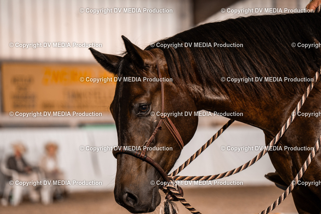 ZH300187 | dv-media-shop - Realisiert mit Pictrs.com