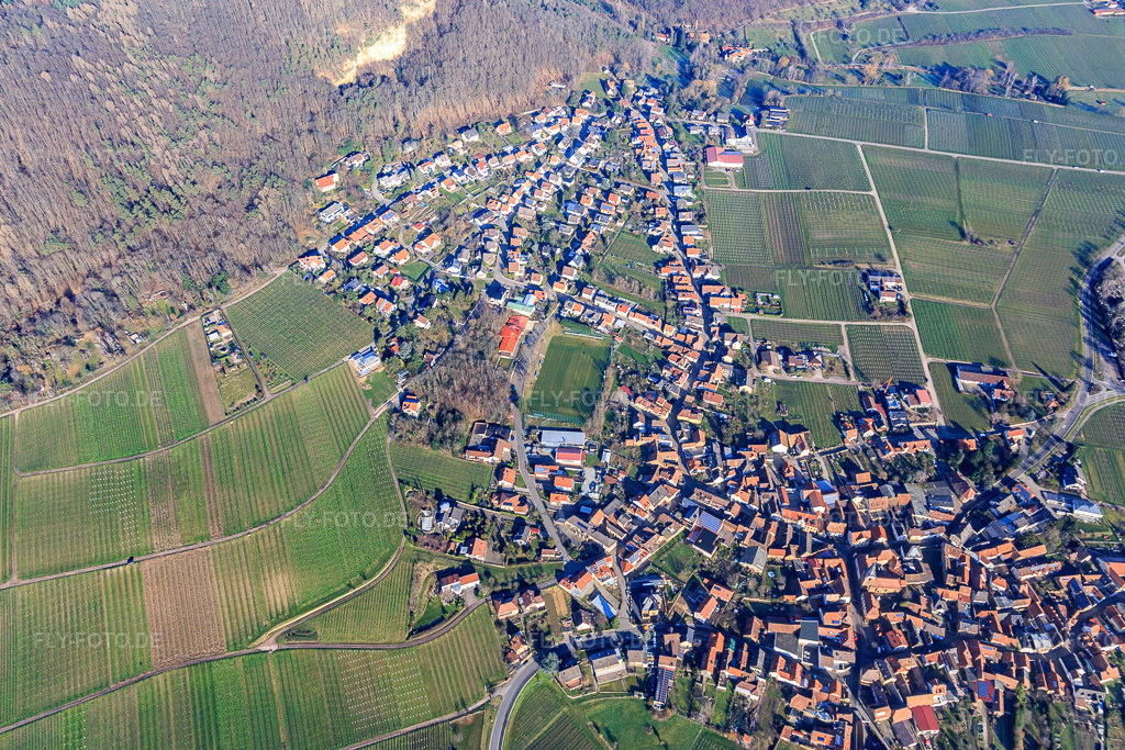 Luftbild: Ortsansicht von Süden in Frankweiler im Bundesland Rheinland-Pfalz in Deutschland. Foto: IMG_120022.jpg vom 07.02.2020 durch Werner Riehm/FLY-FOTO.de