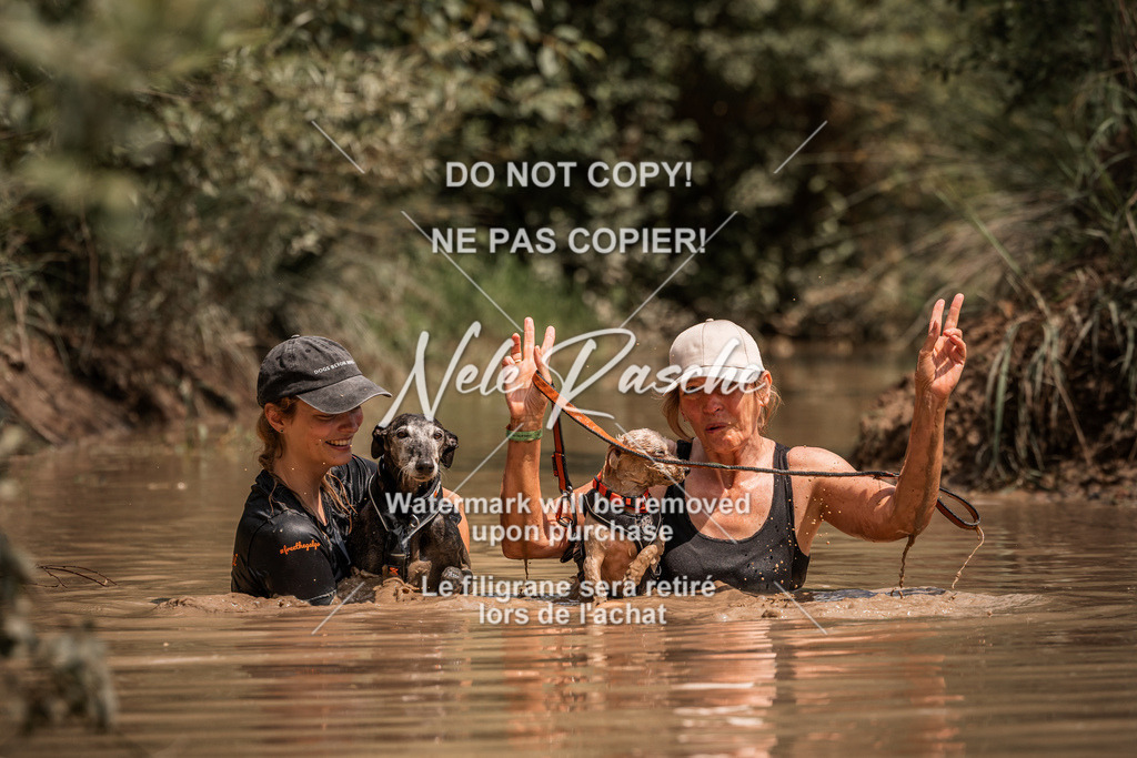 nelerasche_Hoope2026_So1400-1430_124 | nelerasche