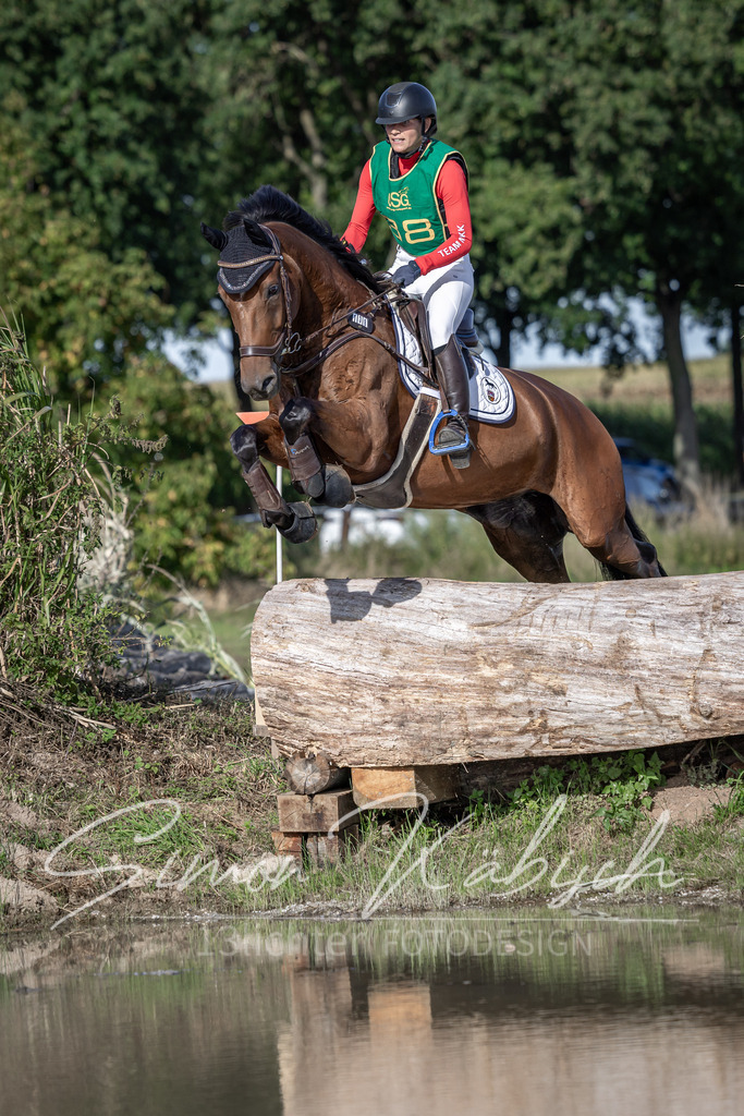20250907-_3LI3922 | Tierfotografie Pferde, Hunde, Katzen, Haustiere.
Turnierfotografie Reitturniere, Reiten, Springreiten, Dressur in Hanau, dem Main-Kinzig-Kreis und dem Rhein-Main- Gebiet um Frankfurt