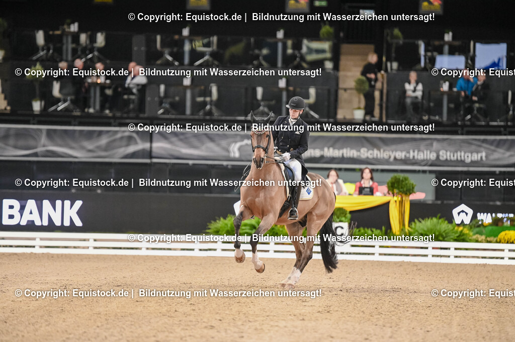 20251112_Dressur_iWest_TOMSPIC_00750075 | Foto: Thomas Hartig