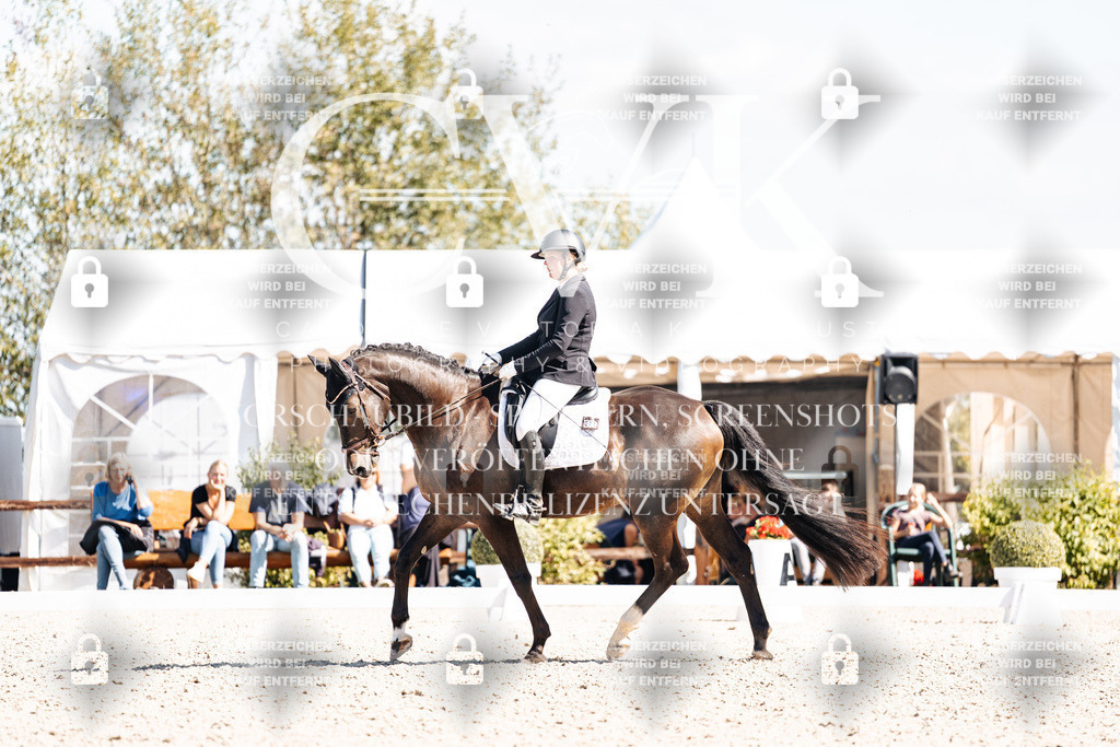 CK903556 | Turnierfotografie Pferdefotografie Trier Rheinland-Pfalz Pferdesport Reitsport Tierfotografie Sportfotografie Pferdevideo Pferdevideografie Equestrianvideography equestrianphotography  - Realisiert mit Pictrs.com