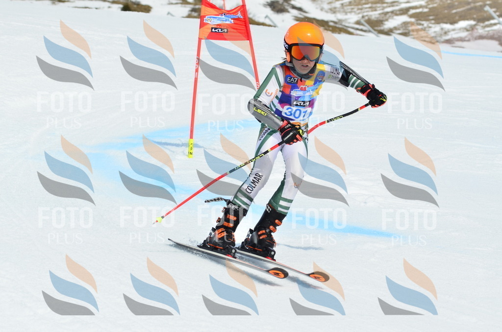 _ELE2204 | holidayphoto