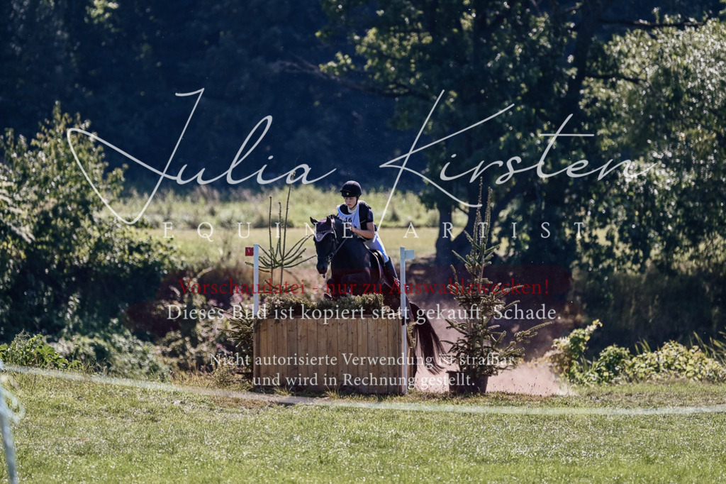 DSC_1915 | Pferde- und Turnierfotografie in Westsachsen. Pferdeportraits, Auftragszeichnungen und intuitive Kunst.