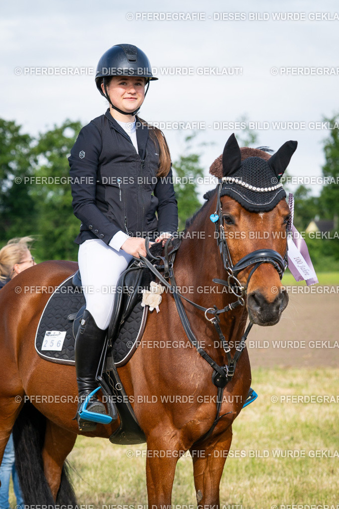 DSC03074 | Pferdegrafie