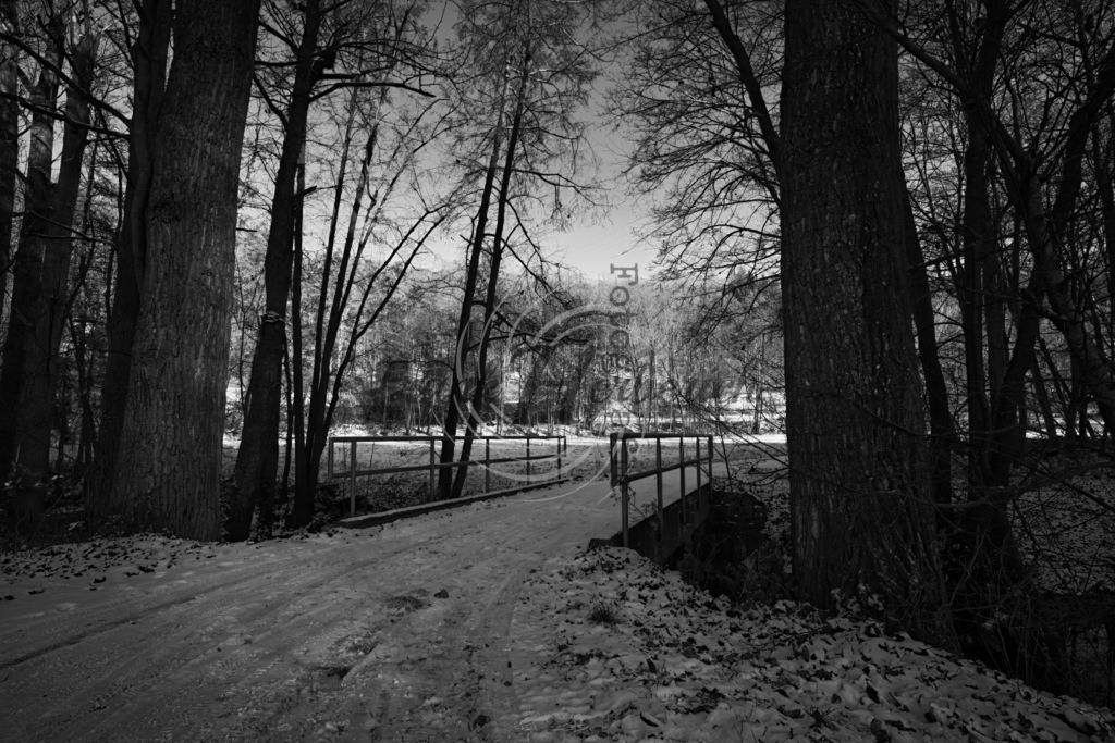 2022_12_17_6043 (1) | Frank Herberich Fotografie, Frank Herberich, Fotografie, Hochzeit, Portrait, St. Peter Ording, Ording, Westerhever, Nordsee, Frank Fotografie, Hardheim,  Odenwald,Walldürn, Band,Eventfotografie - Realisiert mit Pictrs.com