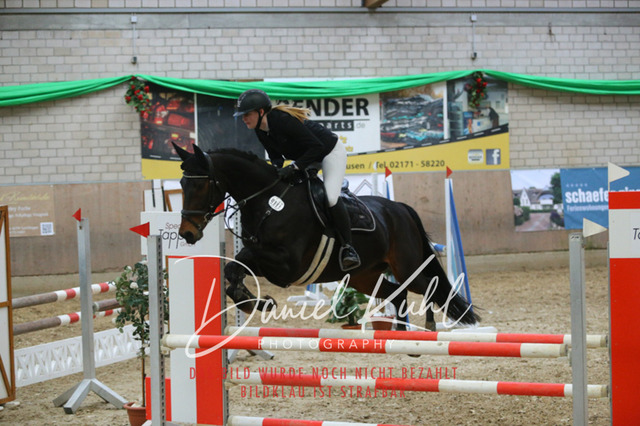 IMG_0753 | Turnierfotos kaufen im Webshop von Daniel Kuhl Photography – entdecke professionelle Reitsportfotos aus Turnieren & Events. Hochwertige Turnierbilder online bestellen & sichern. Jetzt Fotos von Reitsportturnieren kaufen!