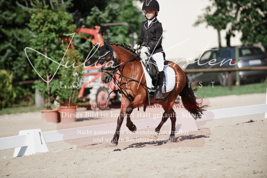 DSC_0117 | Pferde- und Turnierfotografie in Westsachsen. Pferdeportraits, Auftragszeichnungen und intuitive Kunst.