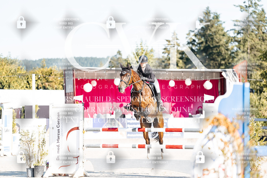 CK904111 | Turnierfotografie Pferdefotografie Trier Rheinland-Pfalz Pferdesport Reitsport Tierfotografie Sportfotografie Pferdevideo Pferdevideografie Equestrianvideography equestrianphotography  - Realisiert mit Pictrs.com