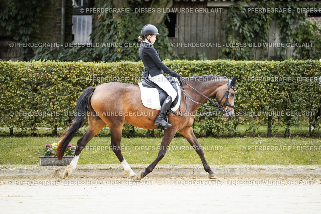 DSC04516 | Pferdegrafie