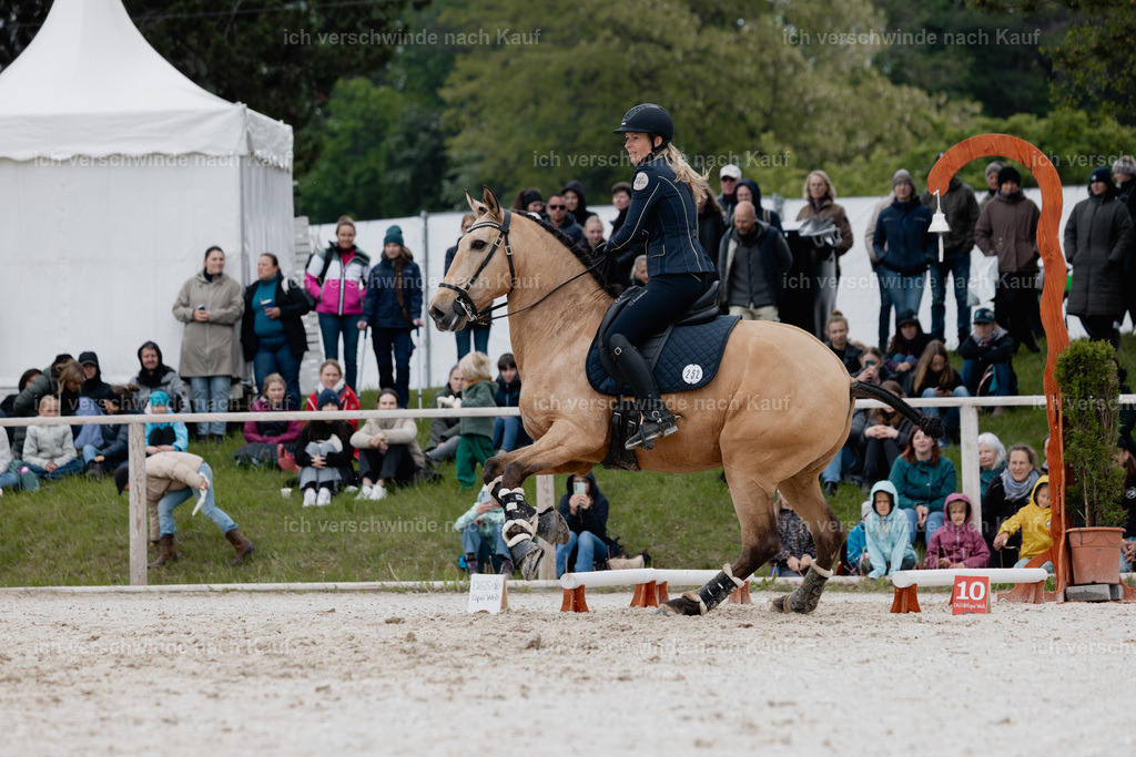PI26_SP_StoibphotographyC2_C0715.jpg | working equitationturnier fotograf videograf stoibphotography marixx film working equitation deutschland reitsport turnierfotografie eventfotografie equestrian events