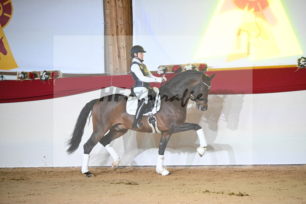 Vangelis_1234198 | hf-fotografie - Realisiert mit Pictrs.com