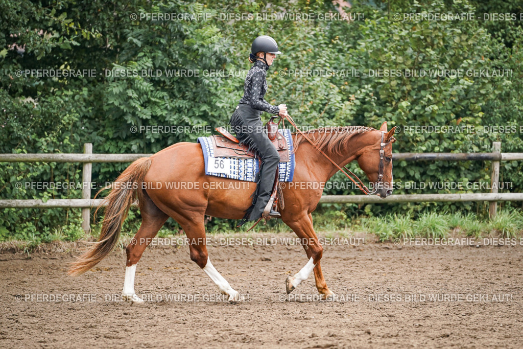 DSC02427 | Pferdegrafie